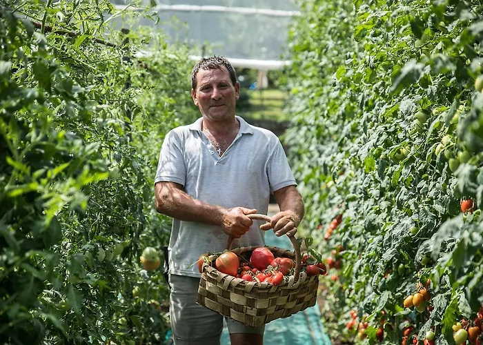 Conca Park Hotel Sorrente