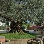 Conca Park Szálloda Sorrento