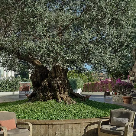Conca Park Hotel Sorrente