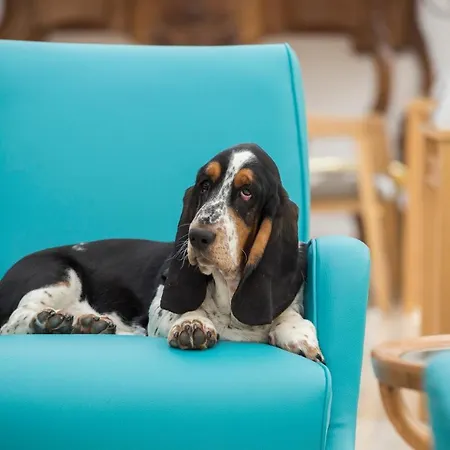 Conca Park 4* ソレント