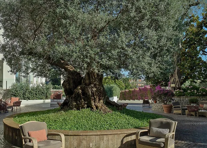 Conca Park Ξενοδοχείο Σορέντο