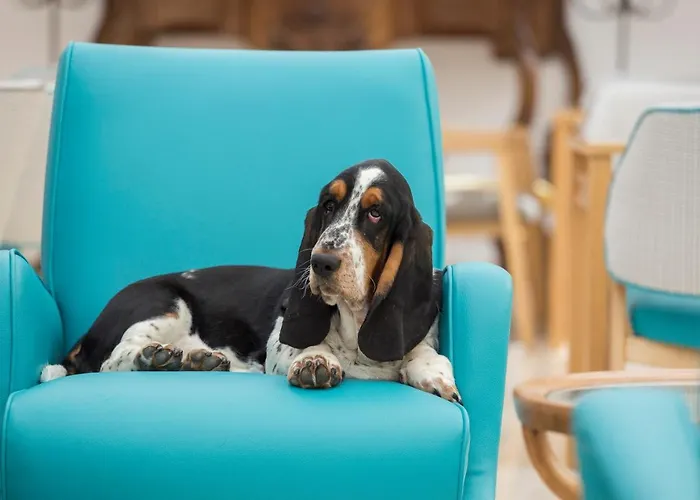 Conca Park 4* Sorrento